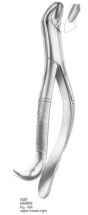  HARRIS Fig. 18R upper molars right 